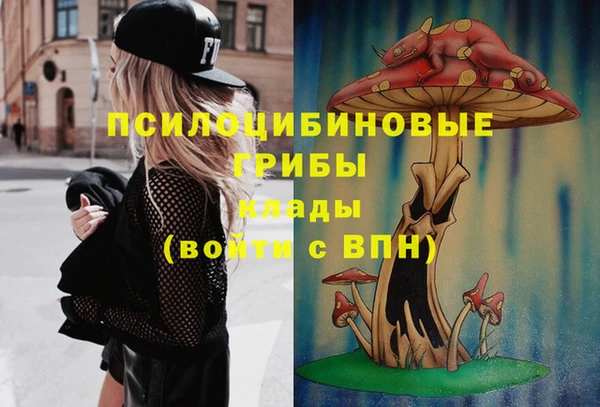 соль курить ск Белокуриха