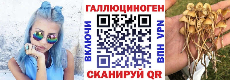 цена наркотик  Калининец  Галлюциногенные грибы мухоморы 